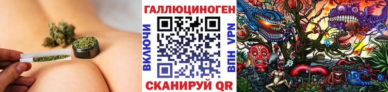 Галлюциногенные грибы GOLDEN TEACHER  Купить где  Пролетарск 